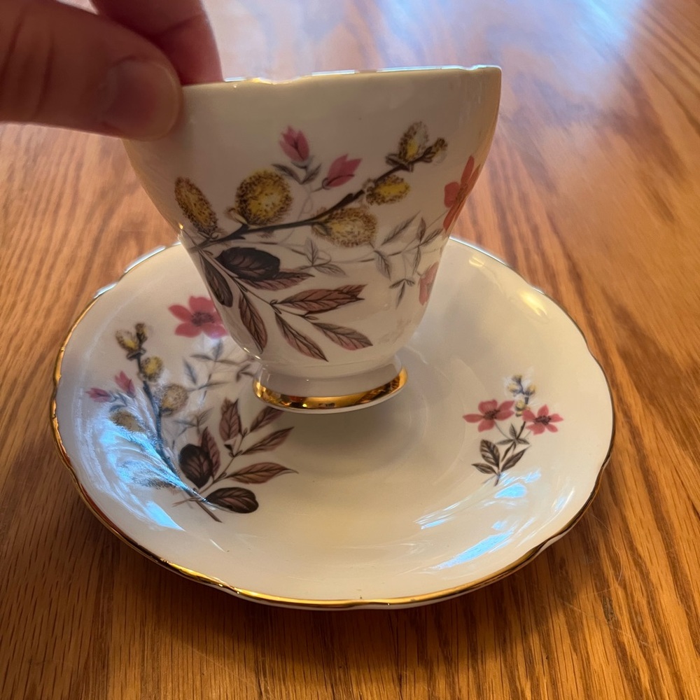 Vintage Delphine Teacup and Saucer, Bone China